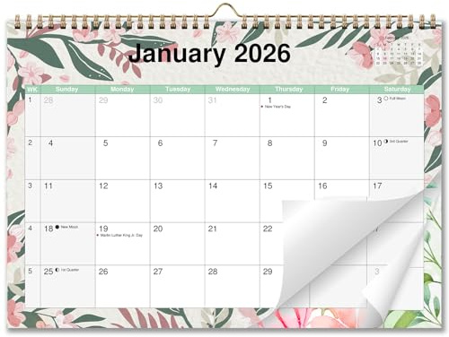 AEYAKA 2025 2026 Wall Calendar, Monthly Hanging Planner, 16-Month (Sept 2025 – Dec 2026), with US Holidays, Moon Phases, 11.5 x 16 (US)