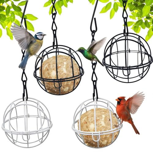 4PCS Mangiatoia per Palle di Grasso, Mangiatoia per Uccelli, Strumento per l'alimentazione Mangiatoia Per Ccelli Appese, per Uccellini da Esterno, Per Giardino, balcone
