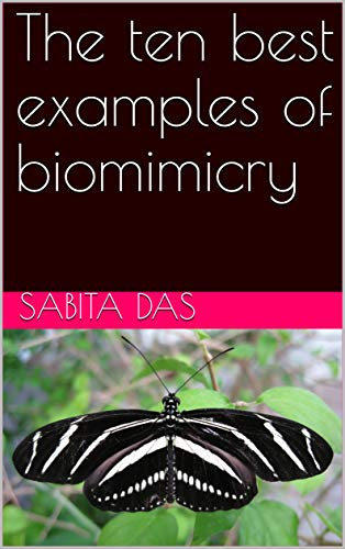 The ten best examples of biomimicry (1)