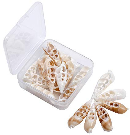 WANDIC Coquillages de Mer, Paquet de 20 Pcs Coupés en Tranches de Coquilles Spirales Naturelles Tranchées pour Artisanat, Fabrication de Bijoux, Décoration de la Maison, 4.2-5.5cm