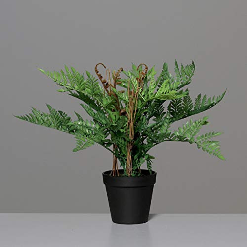 mucplants künstlicher Farn im schwarzen Topf Höhe ca. 33cm Kunstpflanze Zimmerpflanze für Ihr Zuhause