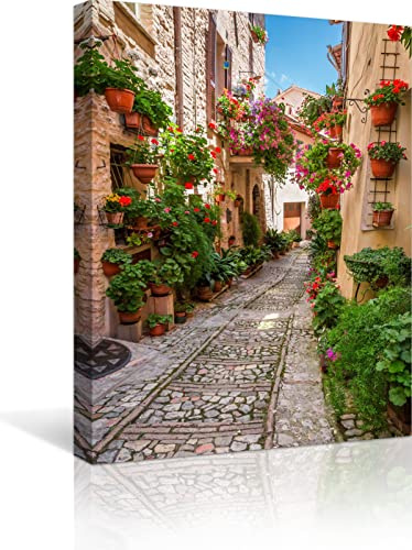 QTESPEII Italienische Blumen Stadt Wandkunst Natur Landschaft Fotografie Bild Blumen Botanisch Leinwanddruck Gemälde Modern Gerahmtes Kunstwerk für Heimdekoration Wanddekoration, 30,5 x 40,6 cm