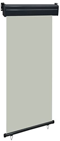 INLIFE Toldo lateral para balcón, 100 x 250 cm, color gris