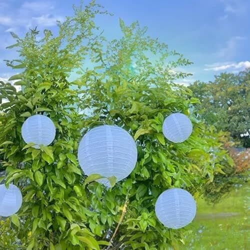 Meisax 10 Stücke Papier Laterne Lampions 10 (25 cm), rund Lampenschirm Dekoration Papierlaterne für Hochzeit Freier Geburtstag Party Garten (weiß)