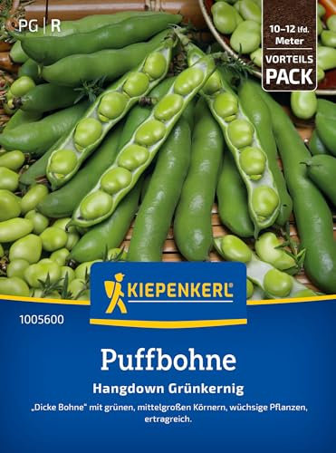 Kiepenkerl Puffbohnensamen Hangdown Grünkernig 1005600 - Große Körner, ideal für Frischverzehr & Einfrieren, grünkernige Bohnensamen, ertragreich