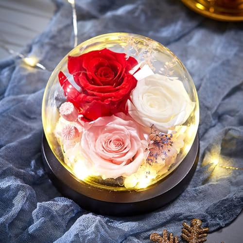 ZJYIGOWL Rose Stabilizzate in Campana di Vetro Regali in Campana di Vetro per Donne, Mamme, Fidanzate, Decorazioni per La Casa per Compleanni, Anniversari, Natale E Matrimoni(Red B)
