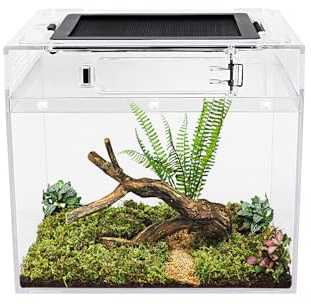 Mini-Reptilien-Terrarium, 20,3 x 20,3 x 20,3 cm, Mini-Reptilienbecken mit voller Sicht, visuell ansprechend, explosionsgeschütztes Glas, für Reptilien und Amphibien