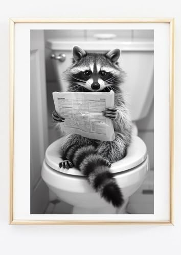 Generisch Amizou Kunstdruck Din A4 - Lustiger Waschbär mit Zeitung auf dem Klo - Waschbär im Bad - Dusche Badezimmer Gäste WC Toilette - Druck Poster Bild Deko - ohne Rahmen