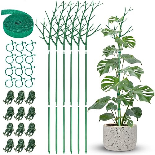 NiHome Comprehensive Plant Support Stake Set of 6 - Durable, UV Resistant 39.5/101cm Stakes with Extension Poles, Orchid Clips & Plant Ties for Climbing Indoor & Outdoor Plants, Monstera