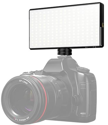 Andoer Mini Lampada Video Tascabile Da 12 W Luce Selfie Luce Video Led Lampada Video Per Fotocamera Foto Desktop Video Per Fotocamere Dslr Professionali Foto Illuminazione