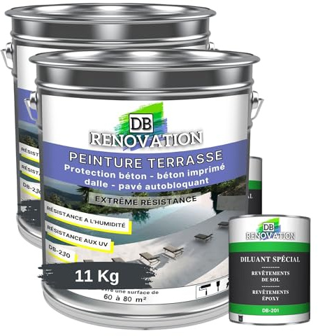 DB Rénovation PEINTURE SOL TERRASSE Extérieur pour béton, pavé - Forte protection UV - Haute imperméabilité - Passage fréquent - Gris anthracite 11KG + 1L Diluant