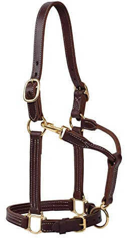 Weaver Leather Unisex-Erwachsene 2,5 cm (1 Zoll) Track LG Pferde/STAL HLTR, CR Lederhalfter, Geölte Canyon Rose, Small