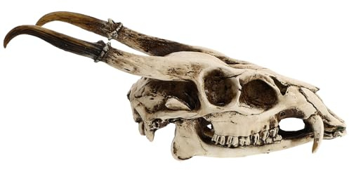 Faux RAM Sheep Skull 3D Resin Skeleton Wall Hanging Art Collectible Decor for Home and Garden Decoration