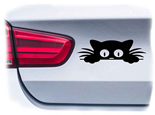 WB wohn trends Auto-Aufkleber, Katze guckt Cat, schwarz, 22cm breit, Farbe und Größe wählbar, KFZ-Sticker LKW Spruch