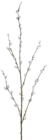 Seidenblumen Roß Weidenkätzchenzweig 115cm FI künstliche Weidenkätzchen Salix künstlicher AST Palmkätzchen