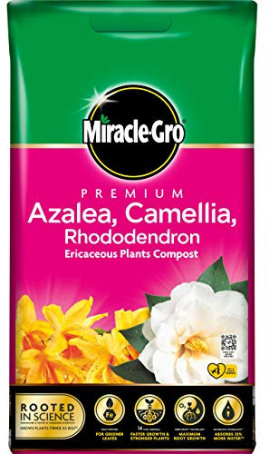 Miracle-Gro 119778 Eracacious Compost - Azelea, Camelia, Rhododendron - 10 Litre BAG, (New 2020 Range)