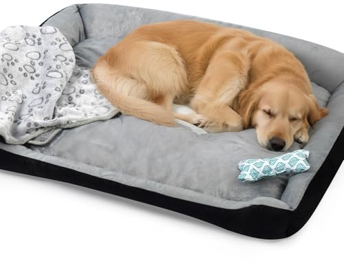 Truevaste Hundebett 90x70cm mit Kleine Hundekissen in Knochenform & Leichte Decke,Weiches Hundesofa aus Kurzhaar-Flausch für Mittelgroße Hunde,Waschbar Hundekorb,Hundekörbchen mit Rutschfester Boden