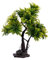 Xuanxi Realistics Noci di cocco Ornamenti per albero Plastomer Palme Decorazione Albero Naturale Unico Migliora Acquari Ambiente