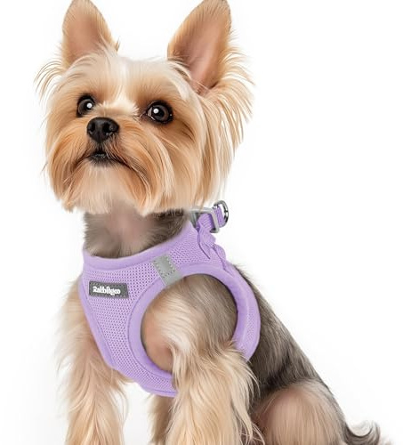 rabbitgoo Harnais Chien Petite Taille, Léger et Respirant, Lilas, XS | Harnais Chiot en Maille Souple, Réfléchissant, Réglable, Facile à Mettre, Arnet pour Chien Petit et Moyen, pour Marche Course