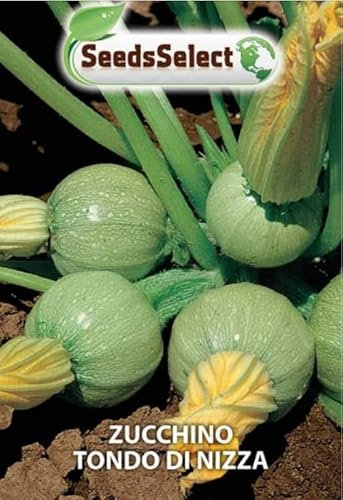 ZUCCHINO TONDO DI NIZZA SEMI IN BUSTINA