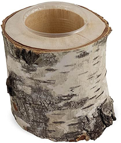 matches21 Pflanztopf Birkenstamm Holzstamm Pflanzgefäß Übertopf Blumentopf Naturdeko mit Plastikbecher 1 STK Ø 10-12x10 cm