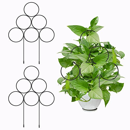 KINBOM 2 Stück 40cm Pflanzen Spalier, Rundes Indoor Spalier, Eisen Gartenspalier mit 5 Bändern, Pflanzen Spalier Holz, Rankhilfe Zimmerpflanzen für Topfpflanzen Topfblumen Efeu (Schwarz)