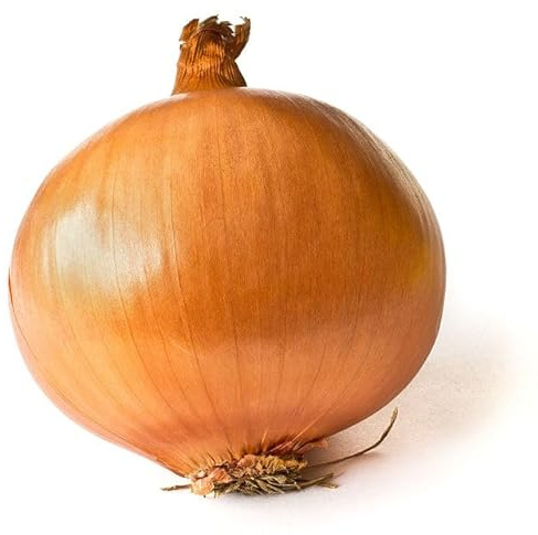 Semillas Horticolas - Cebolla variedad Brigantium - Sementares
