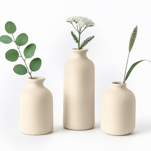 Toemics Set of 3 Small Ceramic Vases for Flowers Decoo Table Vase for Living Room, Dried Flowers, Pampas Grass, Home Styling Rustic Matte Finish (Beige)
