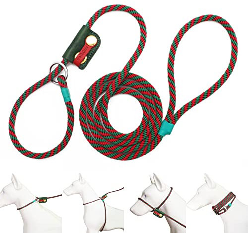 Walktime 5-in-1 Slip Lead Dog Leash, 6FT Nylon No Pull Training Lead with Leather Slider, Multi Use as Collar, Harness, Head Halter & Pet Scarf for for Small Medium Large Dogs