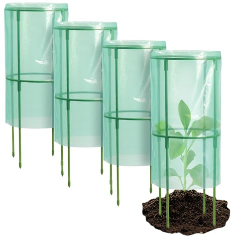 Patifirst Cloche de Jardin - Cloches pour et de Jardin - 4 Pièces Cloches Réutilisables Résistantes au Vent et au Gel pour Fleurs Fruits Vergers Plates-Bandes Surélevées Myrtilliers