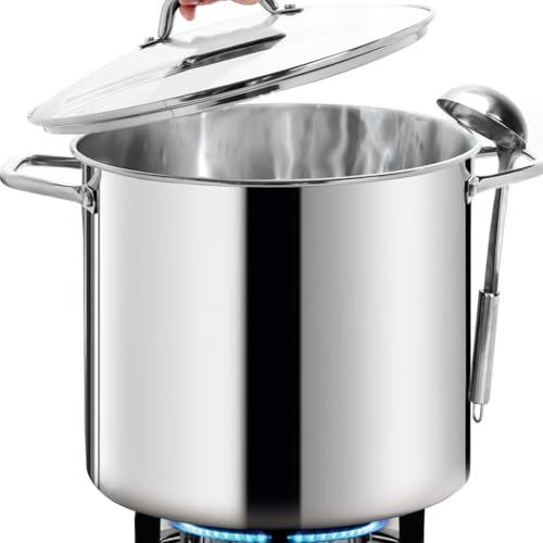 HOMICHEF 23L Nickel Free Stainless Steel Stock Pot with Lid - Commercial Grade Large Soup Pot (31cm), Heavy Duty Induction Stockpot - Mirror Polished & Healthy Non-Toxic Design