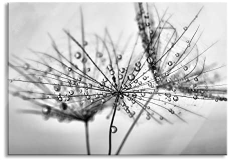 Pixxprint Glasbild, Wandbild aus Echtglas, Pusteblume bedeckt mit Tropfen, 60x40 cm, inkl. Aufhängung und Abstandshalter