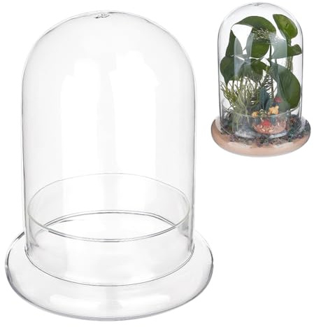 NBEADS Decorative Glass Dome Cover, 150x200mm Terrarium Display Dome Clear Glass Display Dome Cover with Base for Centerpieces Plants Rocks Specimens Decorations Crafts
