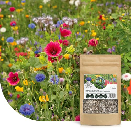 Mélange de fleurs pour prairie d’abeilles - 250 g pour 125 m² - Graines de fleurs multicolores annuelles et vivaces - Source naturelle de nourriture pour abeilles, bourdons et papillons