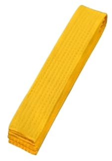 WUYXTO Taekwondo färgglada arkiveringsbälten, 2 delar, bomull, kampsport, Judo, karate, TKD, Aikido uniform för vuxna för kampsporter (gul, 1,6 m)