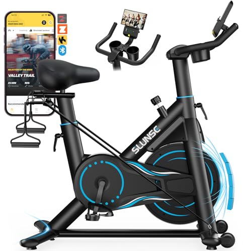 SLUNSE Exercise Bike for Home Use, Adjustable Magnetic Resistance Spin bike with Smart APP, Home Gym Equipment Stationary Bike with Dumbbell Rack, Pull Cord, Large Non-slip Mat, 180KG Weight Capacity