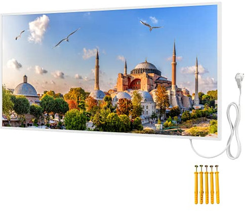 BR Bringer Bild Infrarotheizung mit Rahmen 1000 Watt - Bildheizung mit UV Druck - 120x60x1,8cm - Istanbul, Türkei