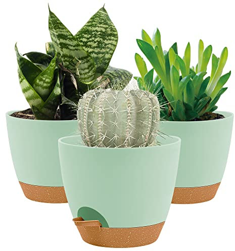 20CM Plant Pots Indoor,Self Watering Plant Pots of 3,Flower Pots with Drainage Holes and Trays,Decorative Modern Suitable for flowers,Snake Plant,Orchid,Lily,Aloe,Violet and House Plant(Green)