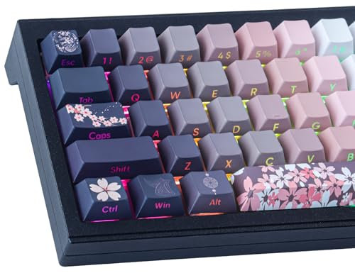 JakeTsai PBT Keycaps, 135 Keys Double Shot Keycaps Side Engraved Transparent Keycap Set, Cherry Profile Backlit Custom Keycap for Cherry MX Switch ASIN/ISO Layout Mechanical Keyboard