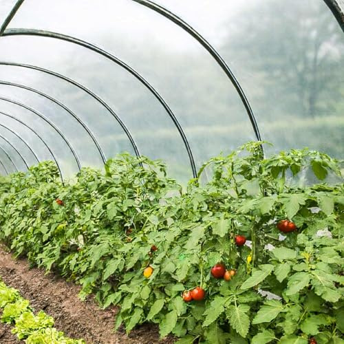 TECPLAST Bâche Serre 6x4 m 200SE - Film Plastique Transparent pour Serre de Jardin - Haute Performance - Made in France