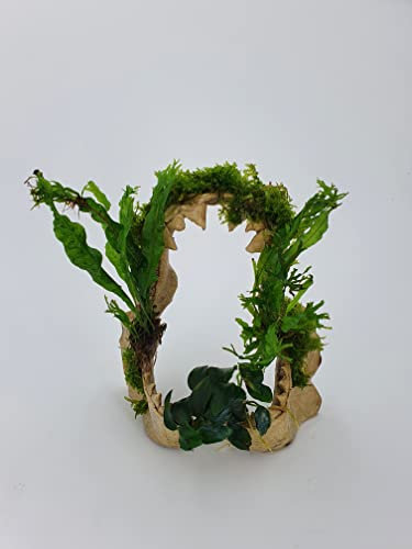 Wasserpflanzen auf Haigebiss (Polyresin Kunstharz) Garnelenbäumchen SAHAWAAquariumdeko Naturdeko