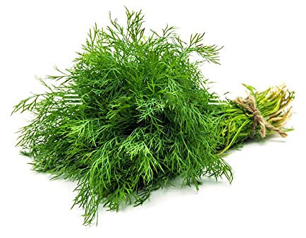 Fresh Dill Leaves Bunch | Single Bunch | Vegetarian | Dill Indian herb | Fresh Leaf | Used to Cook for Curry or Soup | for Indian Cuisine | Approx 200G