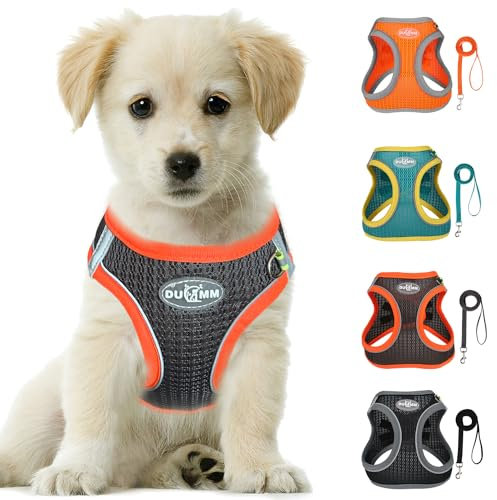 LOS ANDES Hundegeschirr mit Leine, Reflektierend Weich Gepolstert, Air-Mesh, XXS (Brust: 28-32cm), Grau mit reflektierenden Streifen, für kleine und mittlere Rassen