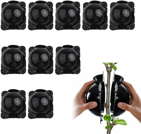 10 Pezzi Propagatori Alta Pressione,Scatola Coltivazione Radici Piante,Scatola Radicamento Piante Riutilizzabile,Scatola di Radicazione per innesto di Piante(S,Nero)