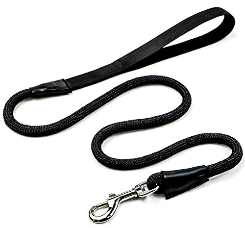 Hundeleine aus Kletterseil Schwarz - Extra stabil und super leicht | 125 cm für mittlere und große Hunde - Führleine bis 100 kg belastbar