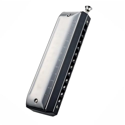 Chromatische Mundharmonika 12 Löcher Mund Orgel Harfe ABS Kamm Edelstahl Abdeckung Solo Tuning Professional