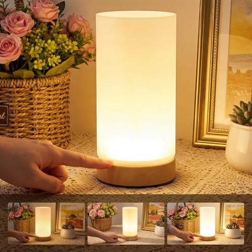 Warmiehomy Touch Bedside Lamps, 3-Level Dimmable Modern Frosted Glass Table Lamp, USB Rechargeable Small Touch Lamps Bedside Night Light for Bedroom, Living Room, Nightstand (LED Source Included)