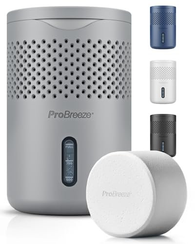 Pro Breeze Osmo Deumidificatore Silenzioso e ricaricabile per umidità e condensa in casa camera armadio auto – Rimuovi muffa da bagno con pastiglia da 700g – Senza elettricità