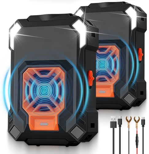 AUTOUTLET Répulsif Ultrason Souris pour Voiture 2 en 1 Répulsif Ultrason Rongeur Connexion électrique du véhicule/Câblage USB/Batterie Démarrage/arrêt Automatique avec Ligne d'Extension 50cm