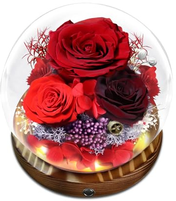 WEIMIL Erhaltene Blume Rose, Geschenke für Mutter, Freundin, Frauen, Frau, Oma